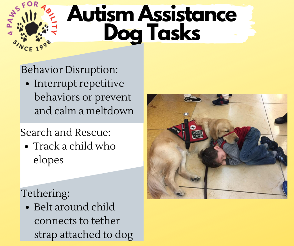 Autism Assistance Dog Tasks